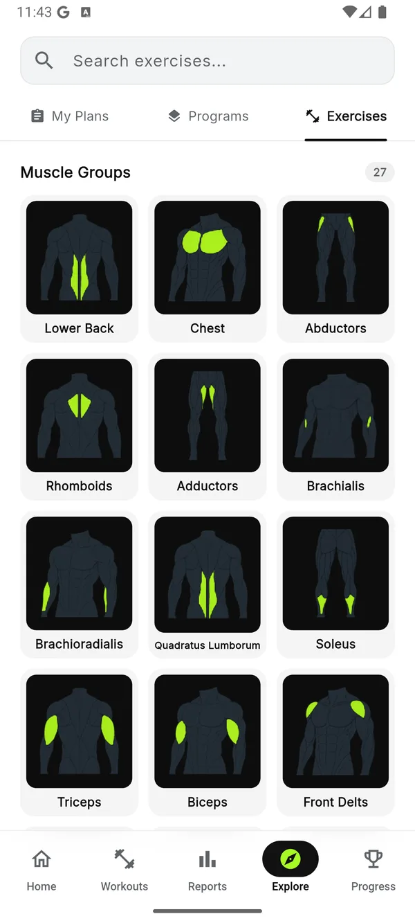 Explore: exercises by muscle group